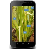 AIPU logo - Similar company to Aipu