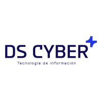 DS CYBER logo - Similar company to Loyalshield