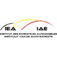 IAE - Instituut van de Auto-Experts logo - Similar company to Informex