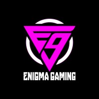 Enigma Gaming India logo - Similar company to Joynnjoy Gaming Pvt. Ltd.