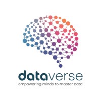 DataVerse Institute logo - Similar company to Datavast Technologies