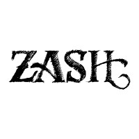ZASH logo - Similar company to Zash