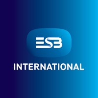 ESB International logo - Similar company to Esb Networks
