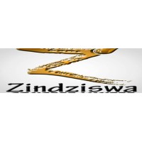 ZINDZISWA CONCEPT LIMITED logo - Similar company to Fleetlog Limited