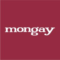 Mongay Solucions Legals logo - Similar company to Silvemol