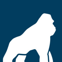 Health Gorilla logo - Similar company to Hero