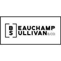 BS&Co logo - Similar company to Carroll Communications Group