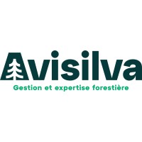 AviSilva logo - Similar company to Alcina