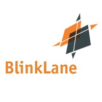 BlinkLane Consulting - a Highberg Company logo - Similar company to Highberg