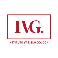 IVG - Instituto Vasselo Goldoni logo - Similar company to Instituto Joule