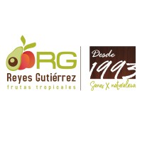 Reyes Gutiérrez S.l