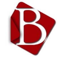 BANik Management Consulting Group logo - Similar company to Mindsetopia