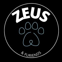 Zeus and Furiends logo - Similar company to Mba Nexus