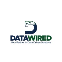 Data Wired logo - Similar company to The Data Strategist