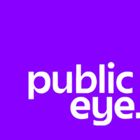 Public Eye Creative logo - Similar company to Mint Ideas