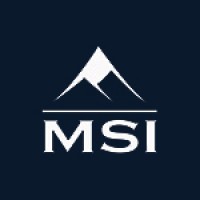 MSI Management and Consulting Services logo - Similar company to Nbd Management Consulting Services