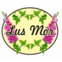 Lus Mór Bed & Breakfast - Wicklow Way