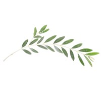 Presecky PR logo - Similar company to Honey Good-Empowering Visibility In Women 50+