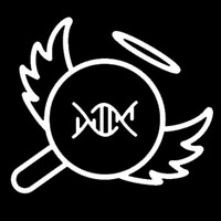 Search Angels logo - Similar company to Dnangels.Org