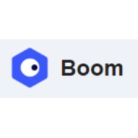 Boom Vision logo - Similar company to Boom Vision Company