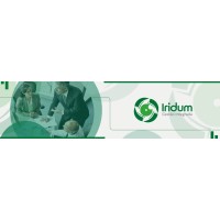 Iridum Gestão Integrada logo - Similar company to Argus Solutions