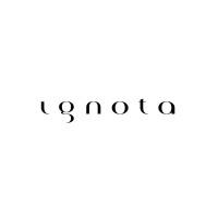 ignota studio logo - Similar company to Millerfilme