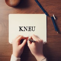 KNEU logo - Similar company to Foundation For Institutional Development - Fid
