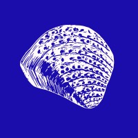 Oyster Consultoria de Dados logo - Similar company to Rldatabi - Consultoria De Dados