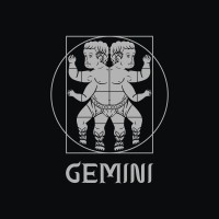 Gemini studio logo - Similar company to Leap Studios