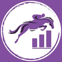 Purple Horse Marketing logo - Similar company to Vip It - Roi Focused Digital Marketing Consultancy