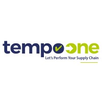 Tempo one logo - Similar company to Solutions Informatiques