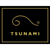 Tsunami New Orleans logo - Similar company to The Pro Bono Project