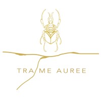 Trame Auree logo - Similar company to Laura Anselmi Design