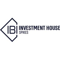 IBI SPIKES logo - Similar company to C-Value