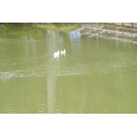 Tesla Unofficial logo - Similar company to Edison Capital