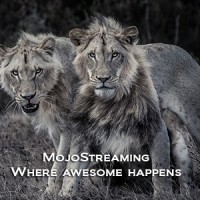 MojoStreaming Ltd logo - Similar company to No Longer In Business Neighborhood A.C.E.