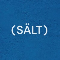 Salt.Studio - Creative Production Company logo - Similar company to Redwolfmeta | Metaverse Company