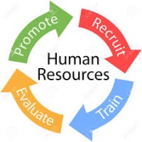 Proactive Management Solutions {Practical, Professional, Proactive} logo - Similar company to Focus Management Solutions