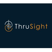 ThruSight logo - Similar company to Ielement