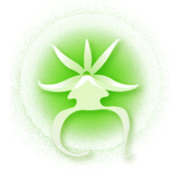 Southern Blossoms Inc. logo - Similar company to Santa Rosa Symphony