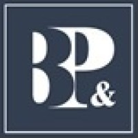 B&P Engineering and Consulting FZ LLC logo - Similar company to Edsengineers (End-To-End Liable Engineering Consulting)