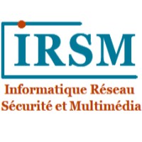 IRSM logo - Similar company to Irms Ltd