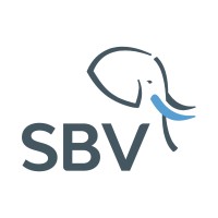 SBV South Africa logo - Similar company to 24/7 Security Services