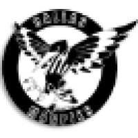 Dallas Magpies Australian Rules Football Club logo - Similar company to Sammysilv, Inc.