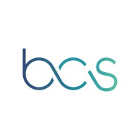 Bing Consulting Services, Inc. logo - Similar company to Bing Consulting