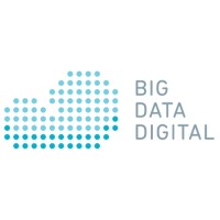 Big Data Digital - Salesforce Consulting Partner logo - Similar company to Wave Systems Pty Ltd