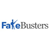 FakeBusters logo - Similar company to Emm&Mme Informatica