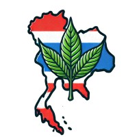 Kratom Thai Exports logo - Similar company to Njoys Supplements Llc