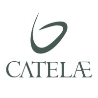 Catelae logo - Similar company to Microdao