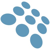 Rise Display / Skybox Fancave logo - Similar company to X Led Systems